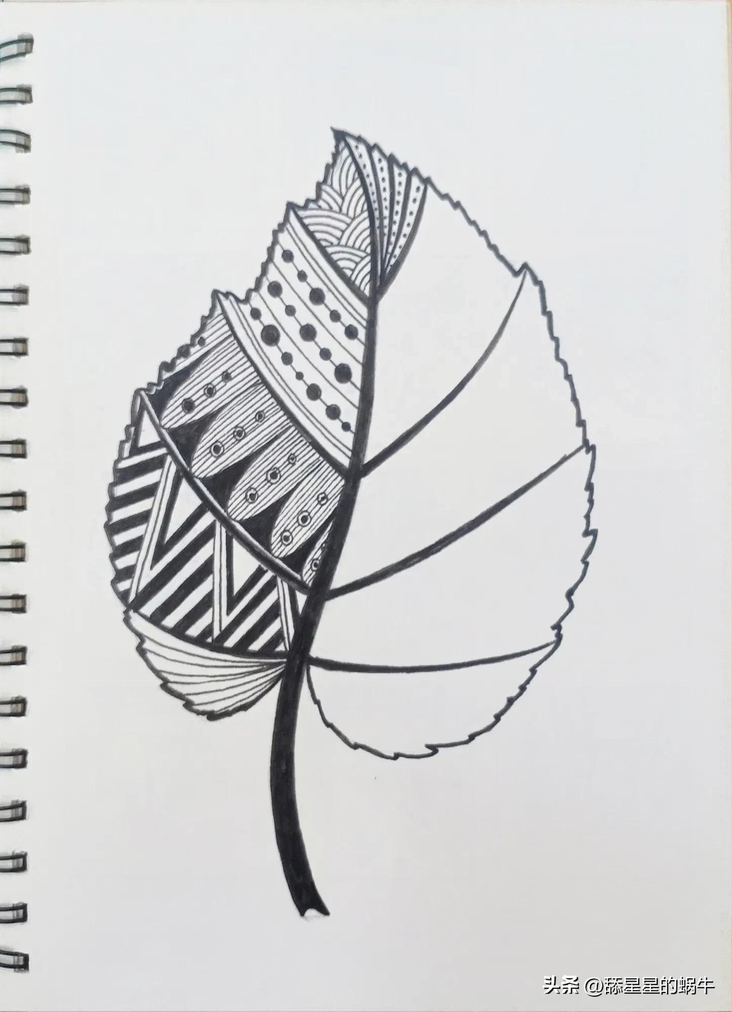 树叶黑白线描画简单花纹,点线面的树叶创意线描