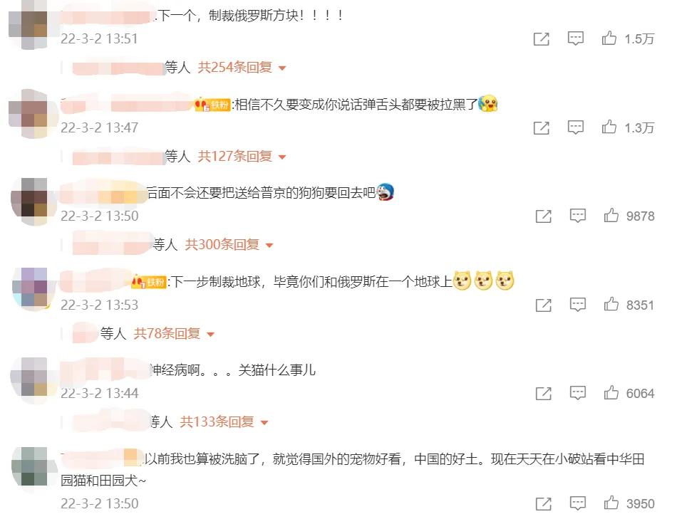 北约制裁俄罗斯的猫是什么意思,俄罗斯猫咪被制裁后的现状