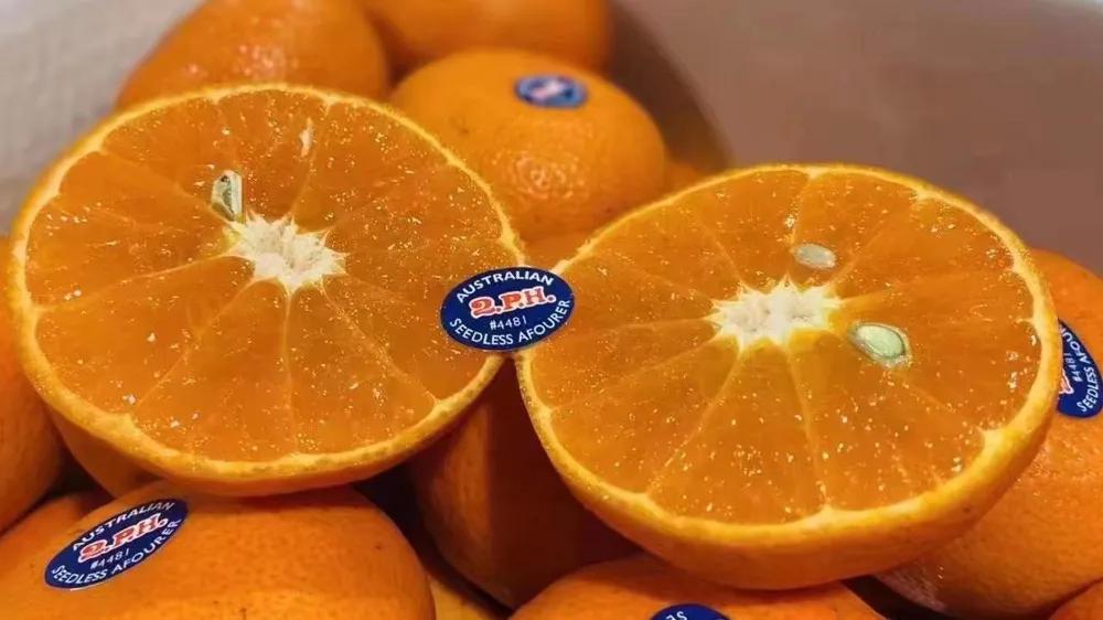 开水果店一年利润有多少钱,开水果店要怎样利润高浪费少