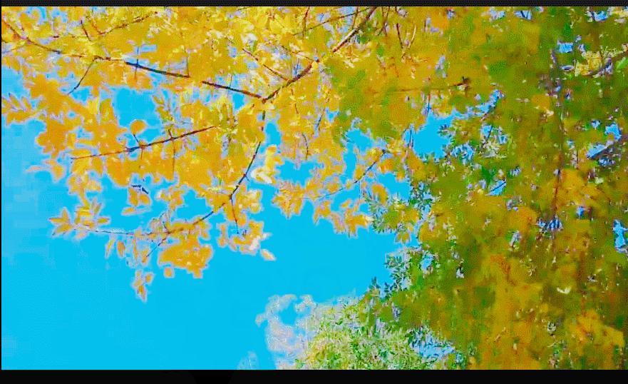 视频滤镜这么添加一秒剪出电影质感大片！视频滤镜添加技巧分享