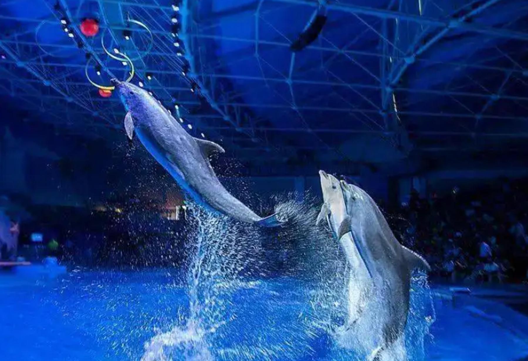 自然风光青岛秦皇岛哪个更好玩,青岛极地海洋和海底世界哪个好玩