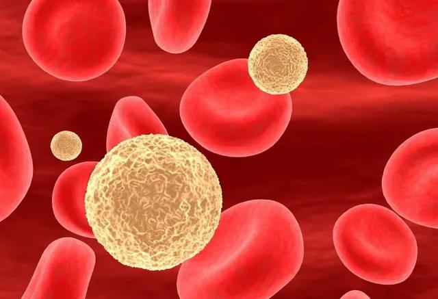 胆固醇的值是多少就危害人的健康,胆固醇正常范围之内是多少