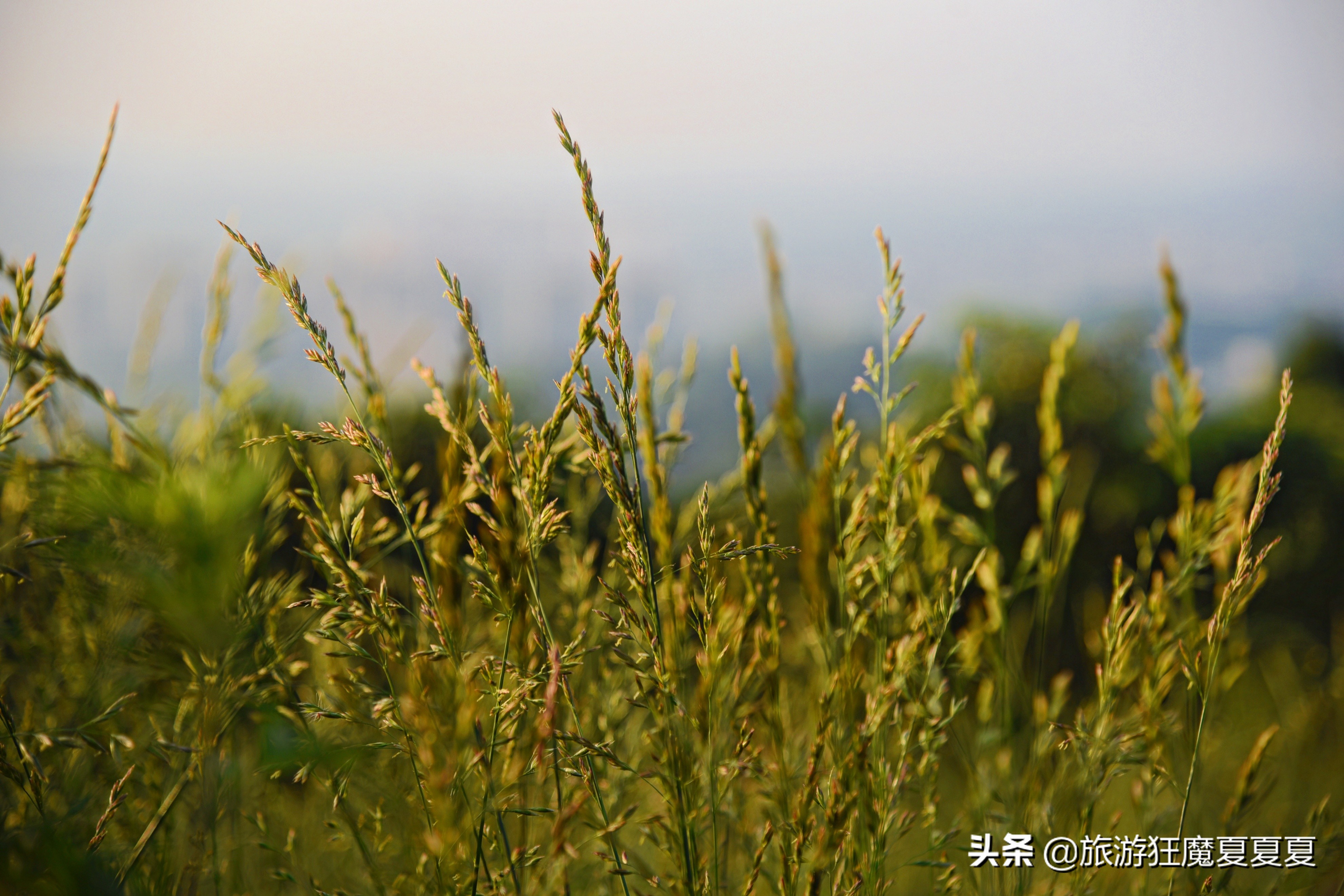 成都龙泉山火到半夜都堵车？跟风夜爬大可不必，这样才有绝美日出