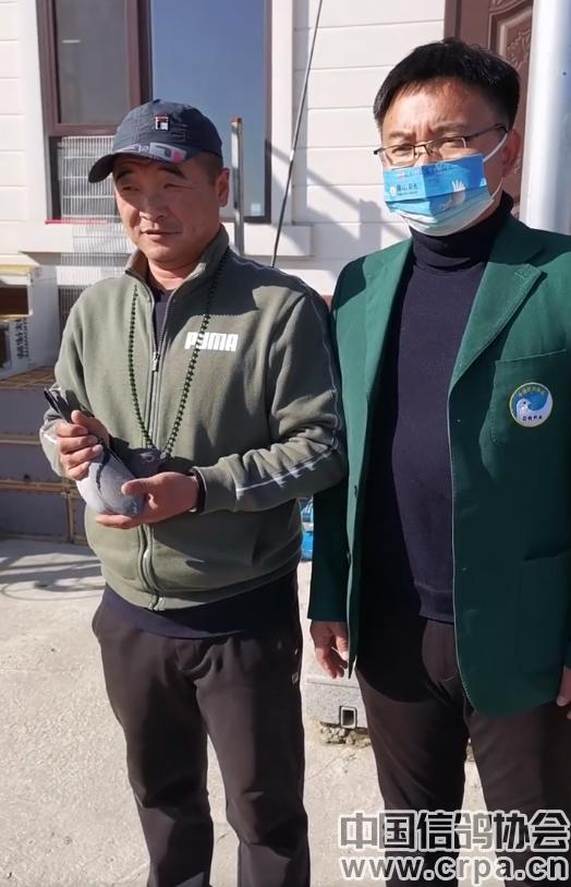 高分速高归巢！“世界杯”唐山阳光站第四关500公里比赛圆满收官