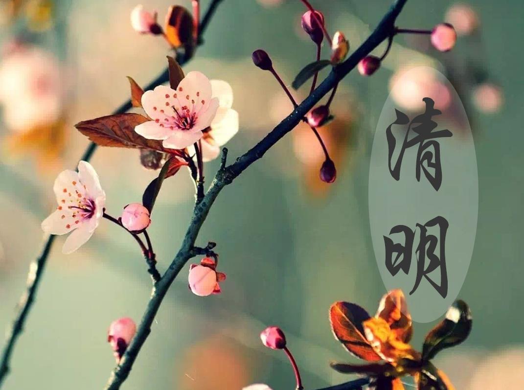 清明节上坟祭祖最难走的路,清明节扫墓牢记十不要