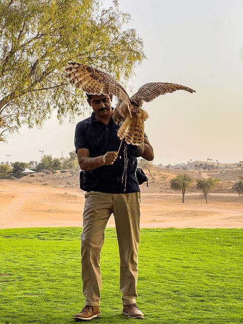 阿联酋丽思卡尔顿,阿联酋野奢帐篷