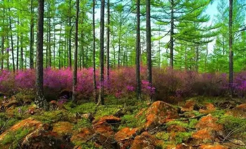 黑龙江景点小众,黑龙江冷门景点