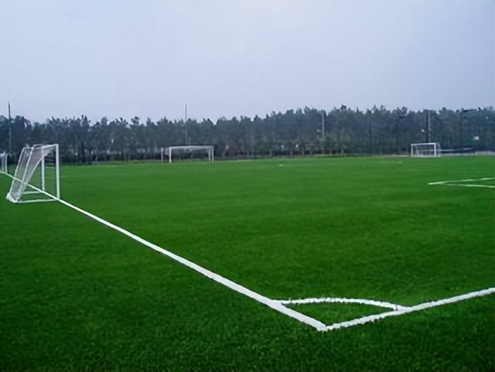 有口碑的人造草坪,人造草坪质量哪家好