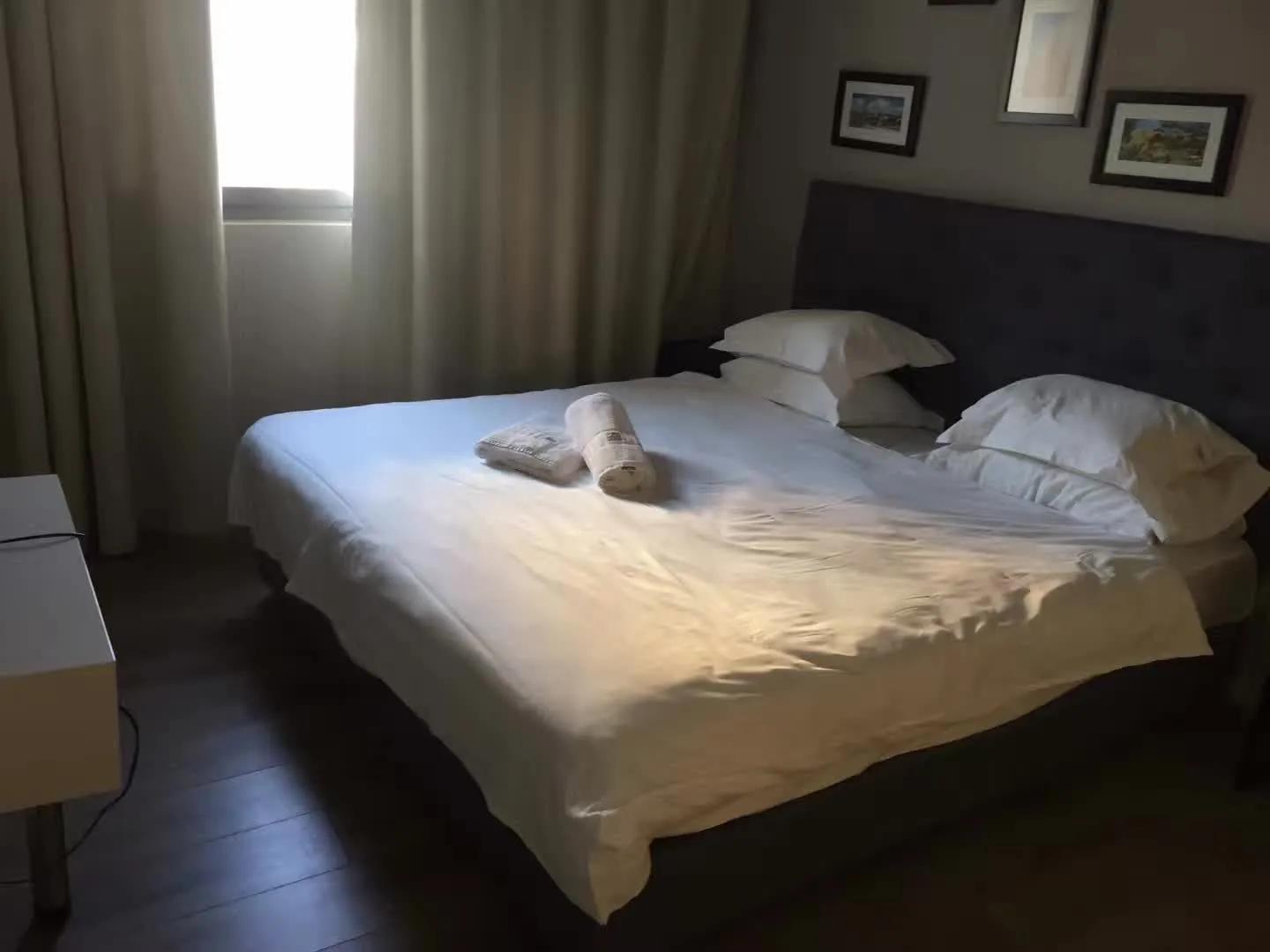 圣城耶路撒冷深度解析,圣城耶路撒冷现状