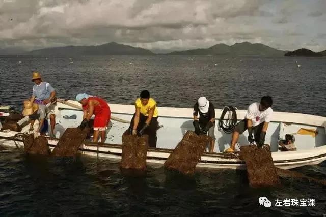 南洋金珠最经典的款式,南洋金珠的功效与作用