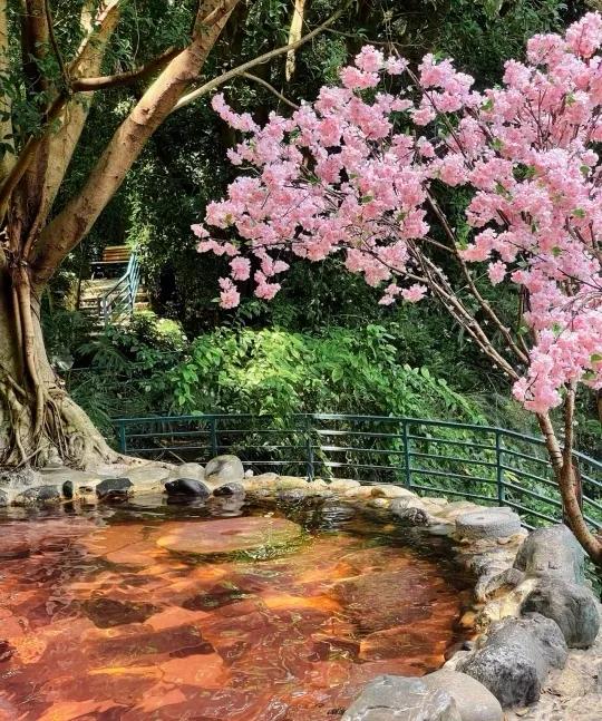 昆明禄劝县中平镇普渡河温泉地带,昆明适合儿童度假玩乐的温泉酒店