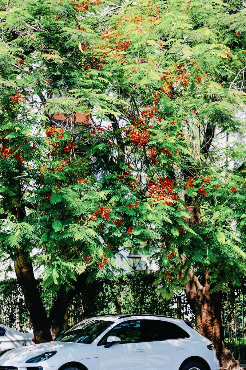 深圳市蛇口攻略,深圳海岛蛇口