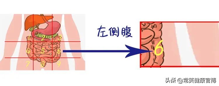 肚子疼胀痛部位对照表,肚子疼是哪里有问题一张图告诉你