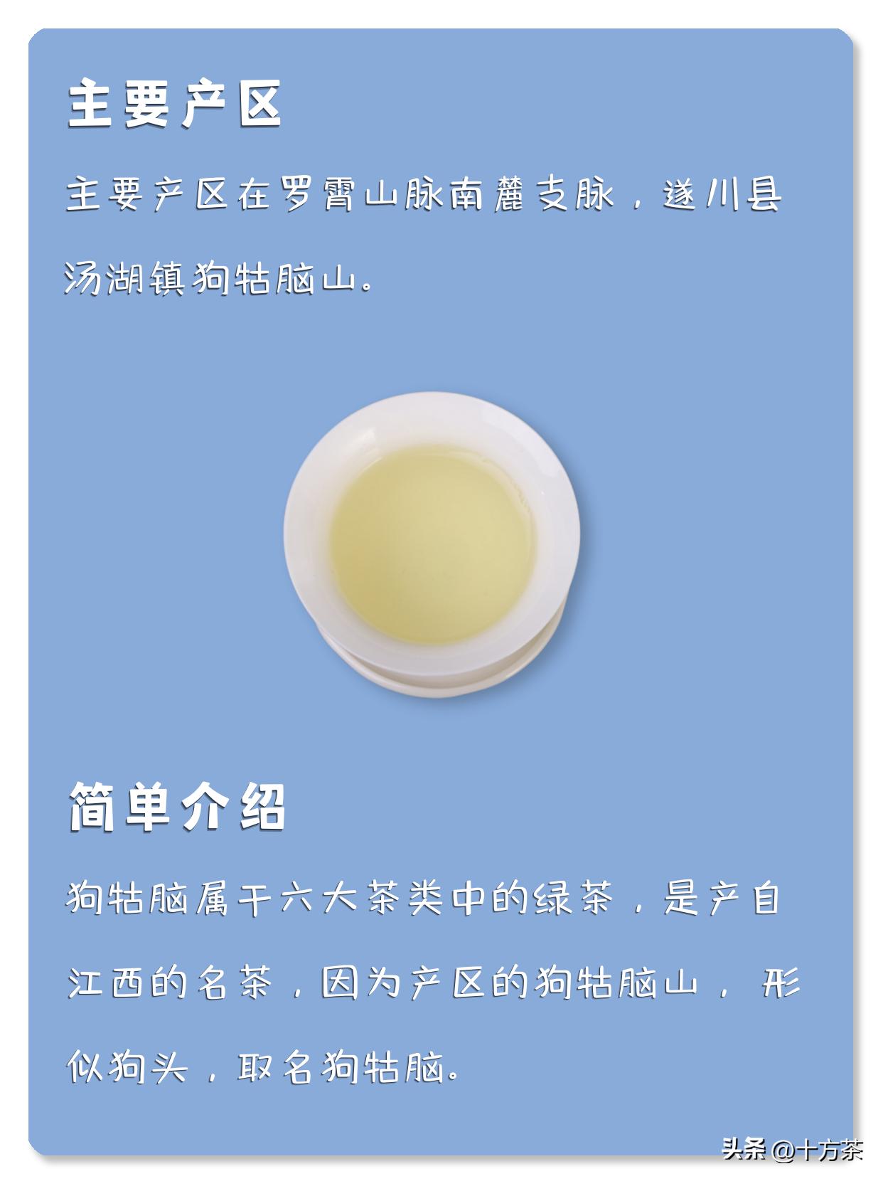 狗牯脑茶茶文化系列,狗牯脑茶什么时候的最好喝