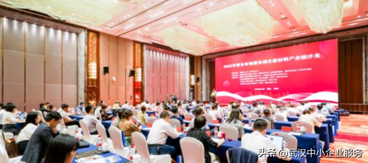 武汉市创业天使名单,武汉创业天使导师团团长