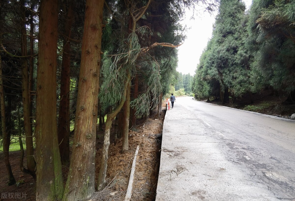 重庆武隆一日游最佳攻略,重庆到武隆两日游跟团