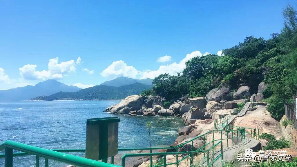 散文作家苏沧桑,冬酿散文