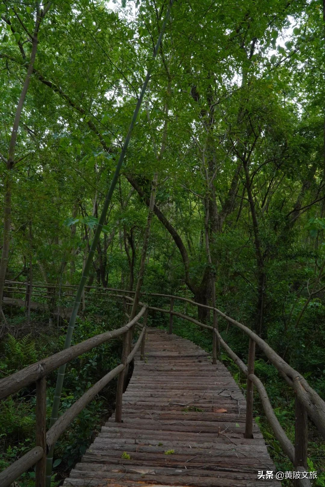 武汉夏天自驾游推荐,夏日避暑武汉出发3-5天自由行攻略