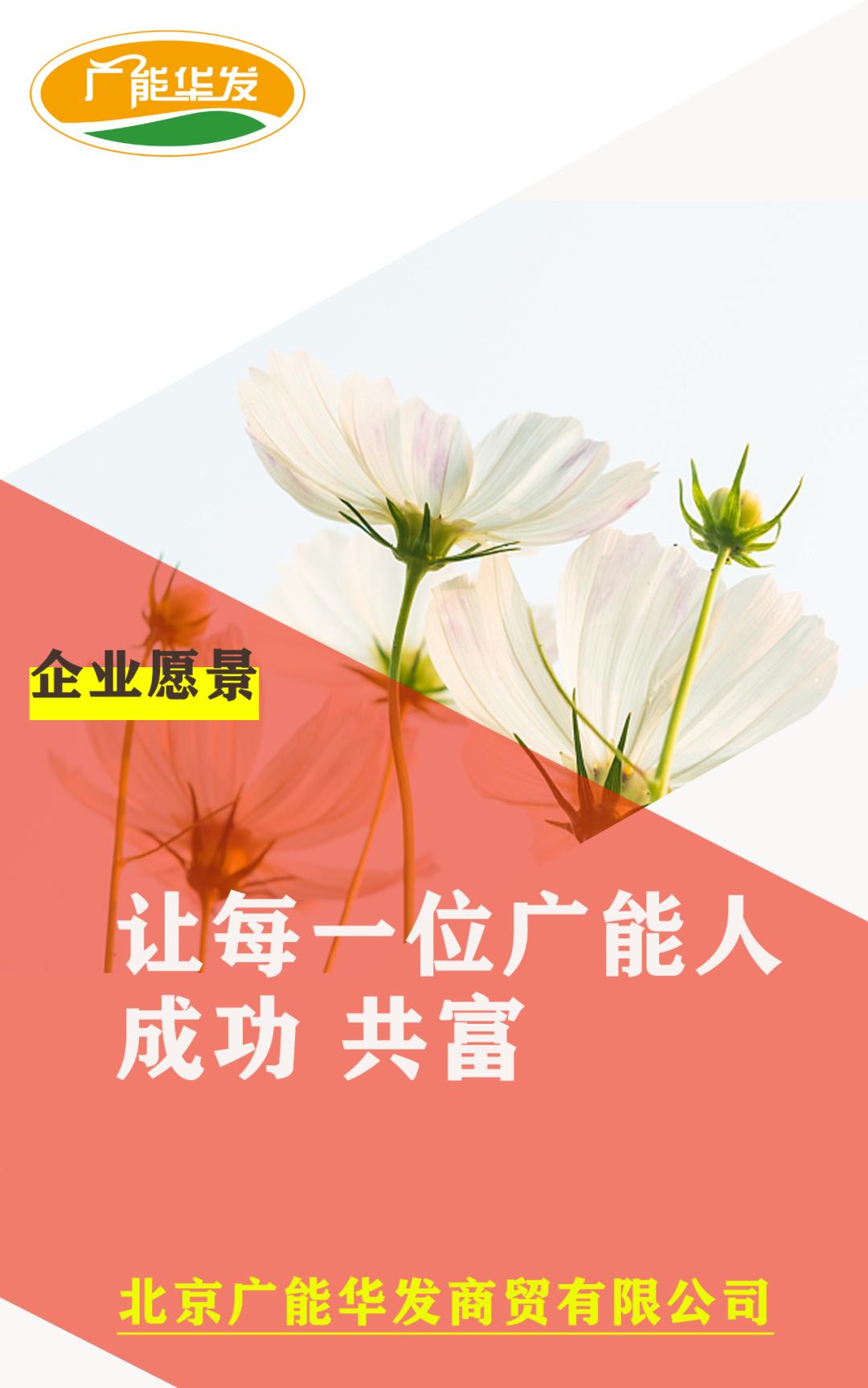 再接再厉百折不挠,不遗余力再接再厉