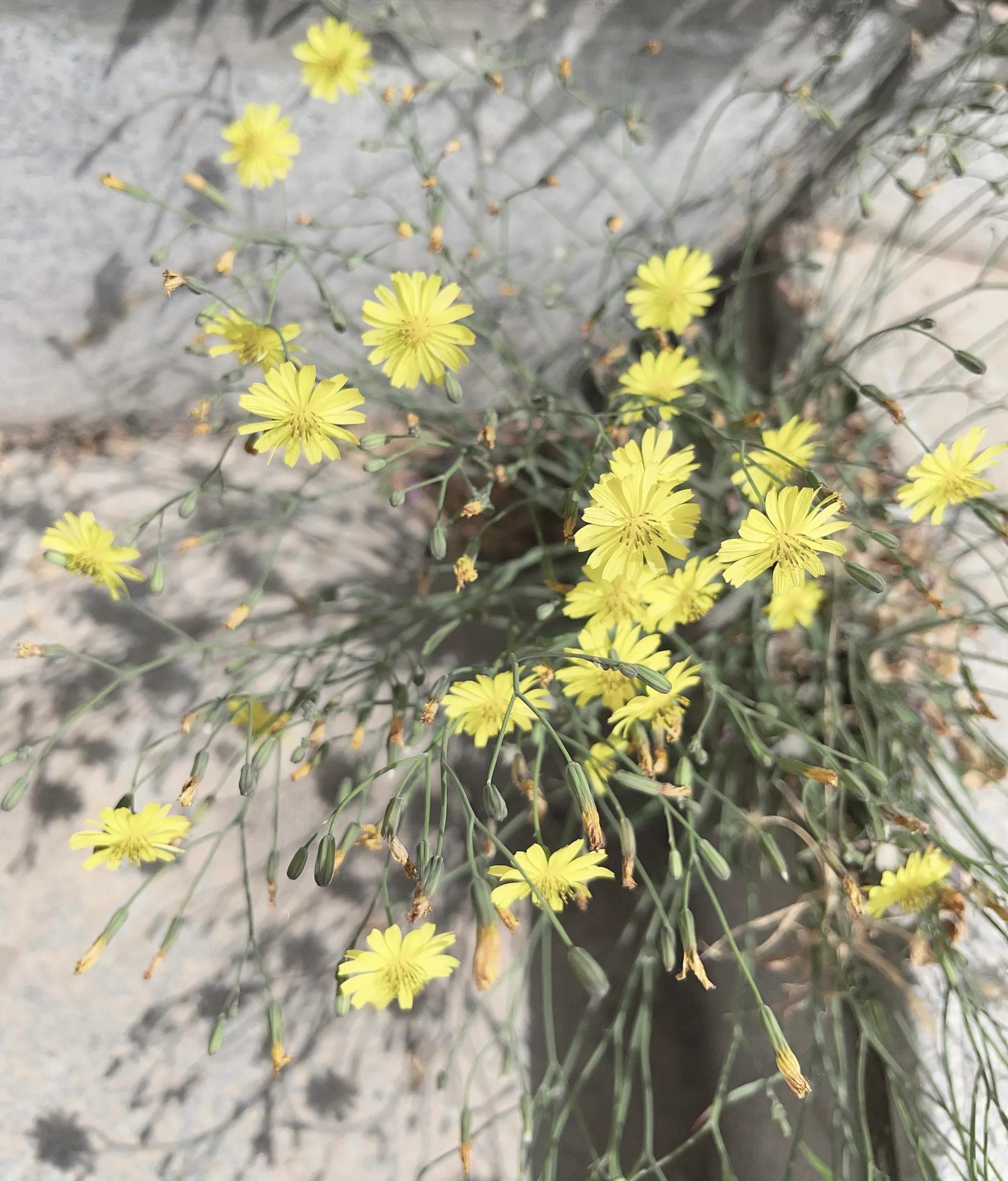 繁星璀璨银河系星星眨眼不言语天上故事比星多日升月落都放空元姆