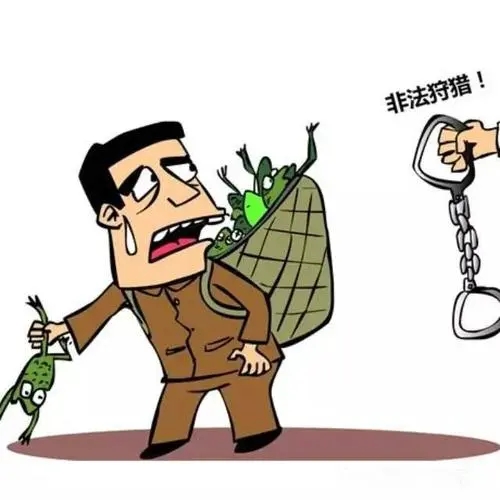 红毛猩猩被囚六年，培养成泄欲工具，身上溃烂也得接客