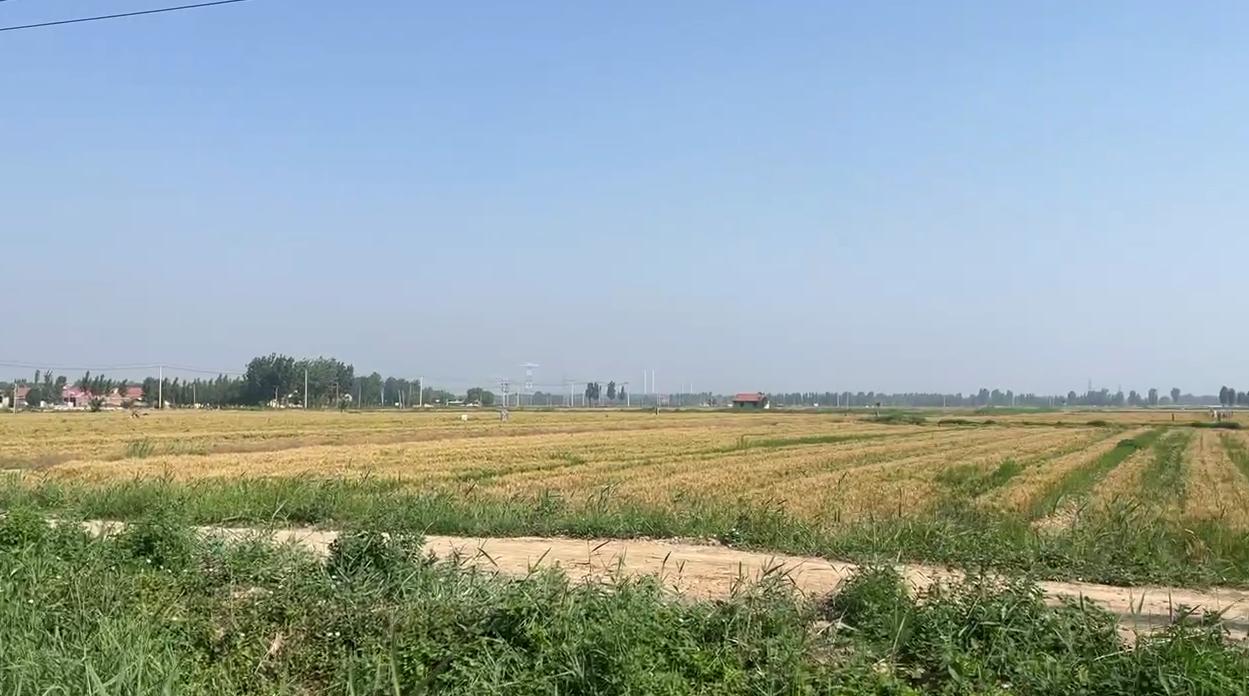 记者带你看农业合作社促农增收,走进县城看发展高青