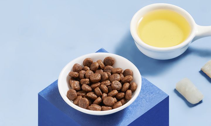 海洋之星和比瑞吉狗粮哪个好,皇家狗粮和海洋之星狗粮哪个好