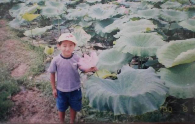 大暑赏莲！95后广东小伙“玩转”睡莲育种成为世界冠军