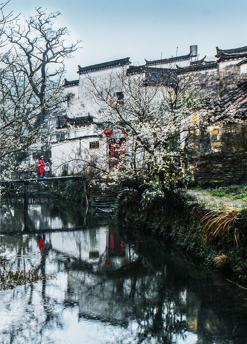 婺源摄影写真,2019梦幻之秋婺源三天摄影创作团