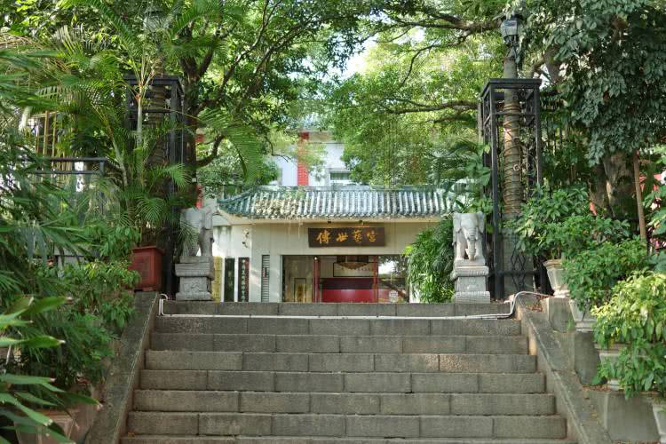 赏城中美景，品厦门味道。城市中心C位酒店，毗邻植物园、中山路