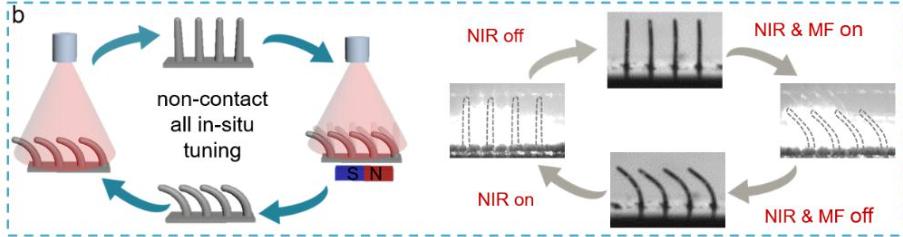 飞秒激光器激光强度改小可以吗,飞秒脉冲激光实现多光子吸收