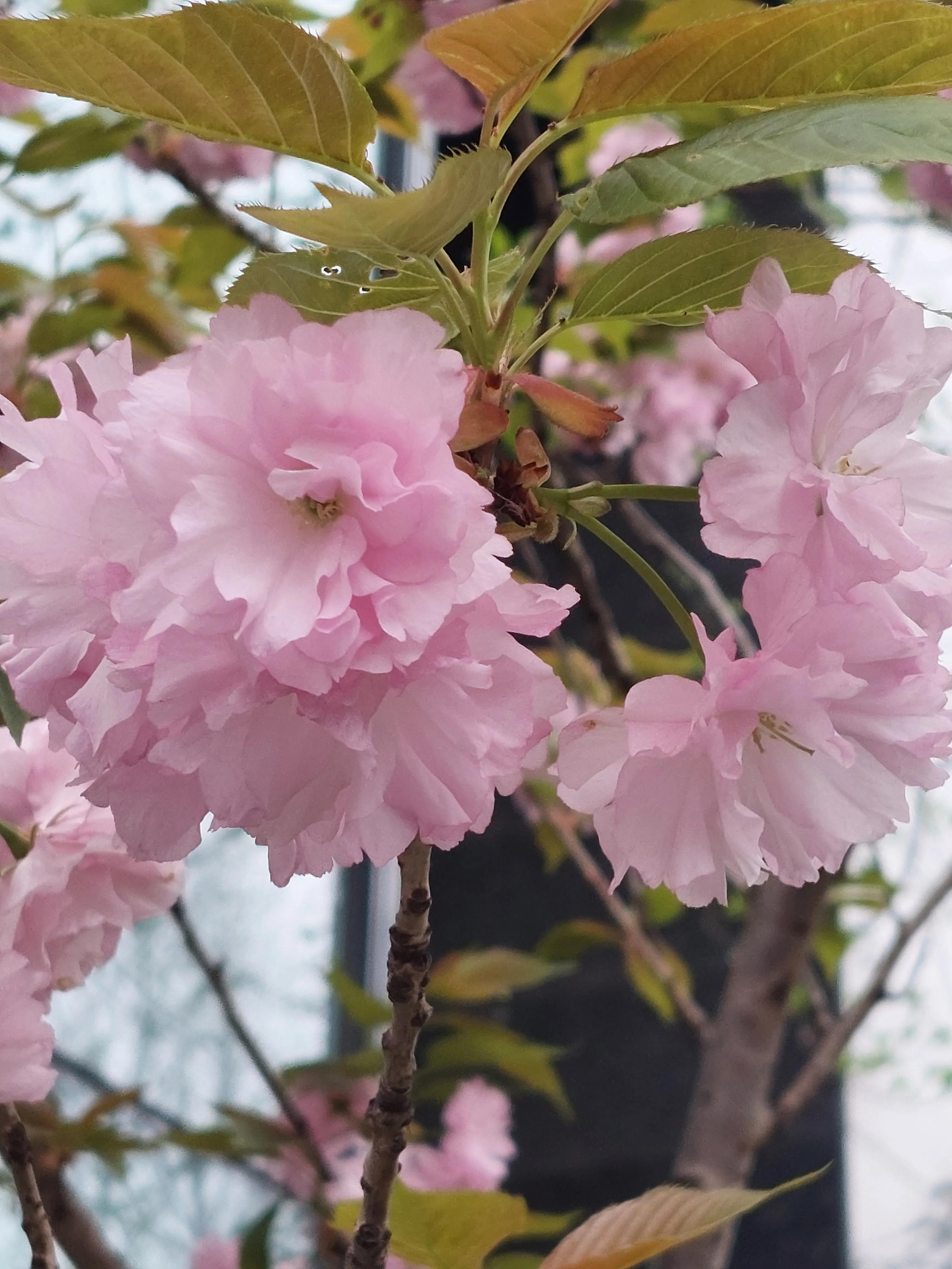 裁员后面试中问到离职原因,会计面试时被问到离职原因