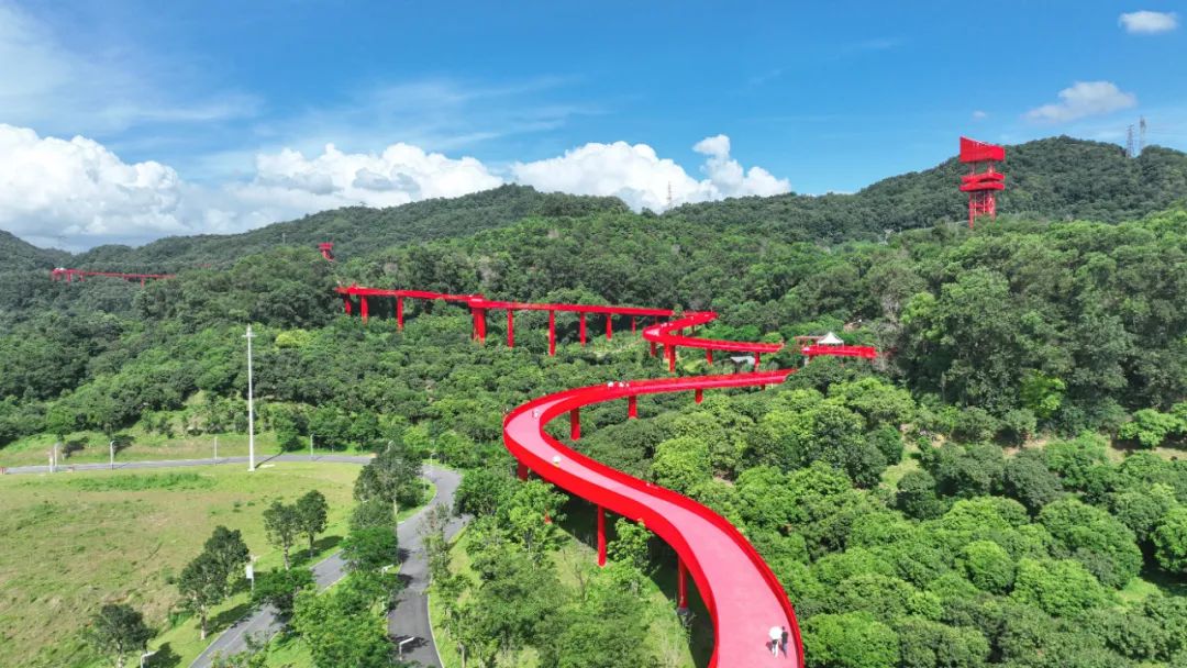 徒步露营带什么好吃的美食,旅行美食露营总有一款能治愈