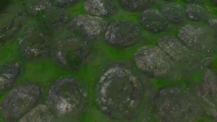 为什么草坪里面有很多水,不可思议的草坪水