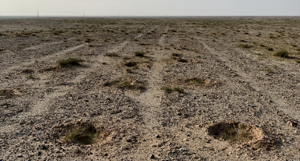 阿里蚂蚁森林怎么赚钱的,蚂蚁森林真的是阿里巴巴掏钱吗