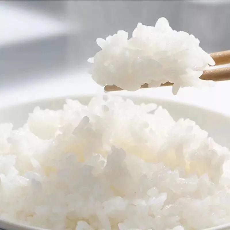 千年古树百年茶,千年古树野生茶1000克珍藏品