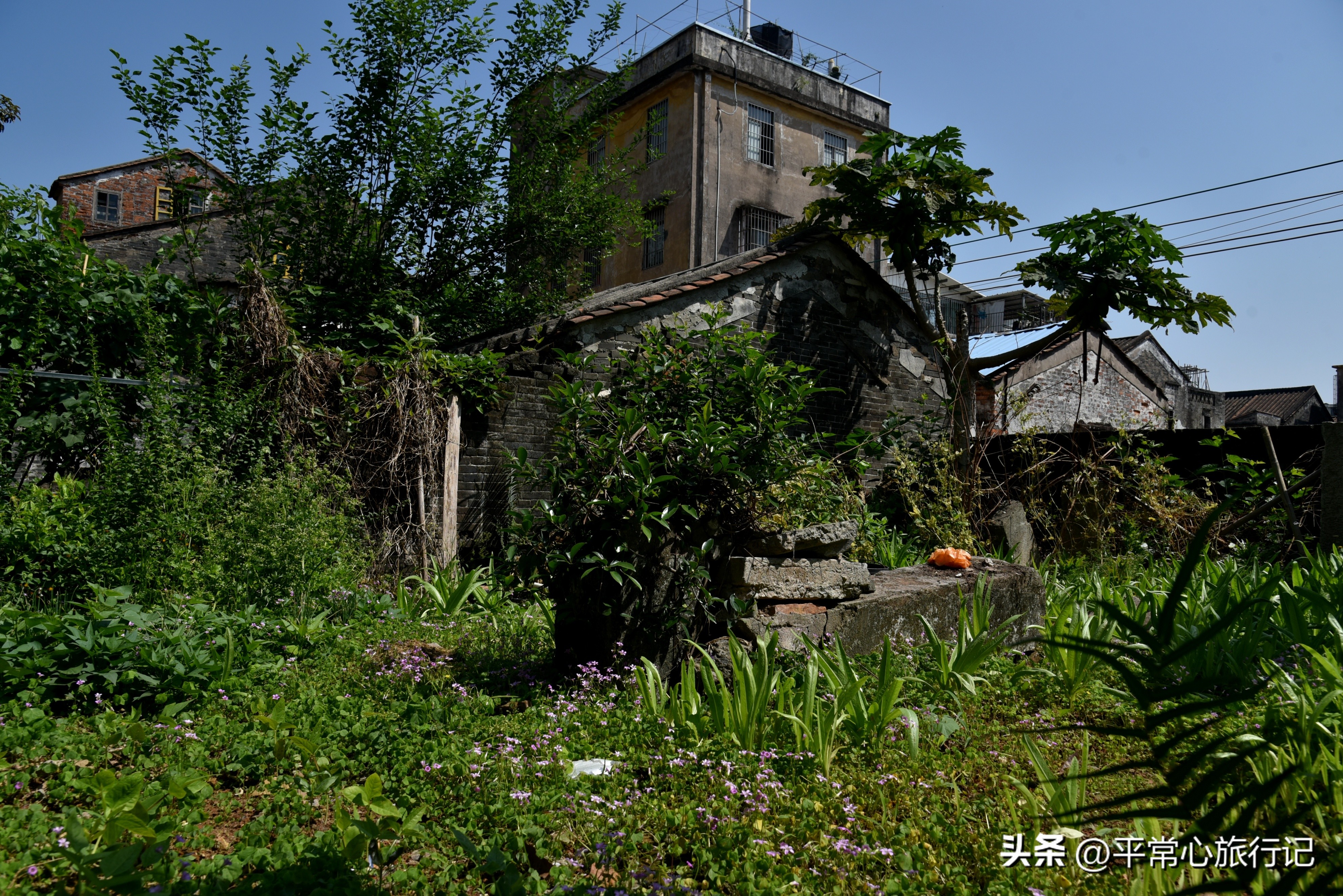 狂飙江门取景地打卡旧厂街,江门三十三墟街景点介绍