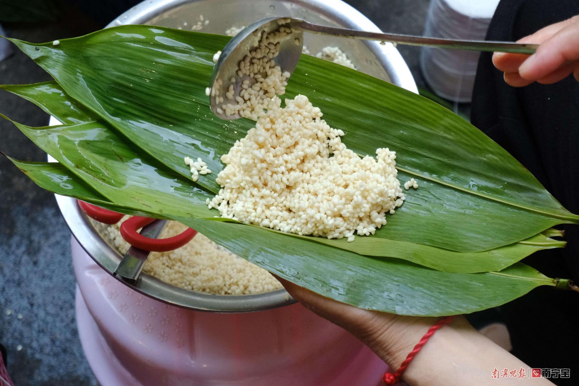 邕城印记图片,邕城印记兰花篇全文