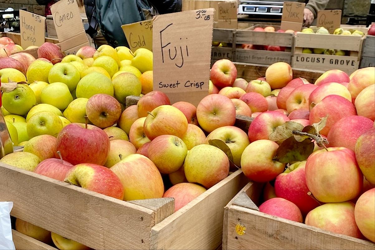 红富士苹果出口哪些国家,南非出产红富士苹果