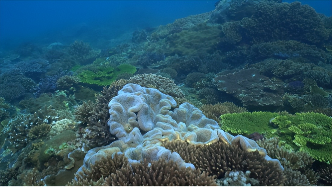 带孩子去蜈支洲适合玩多久,带小孩蜈支洲岛一日游攻略