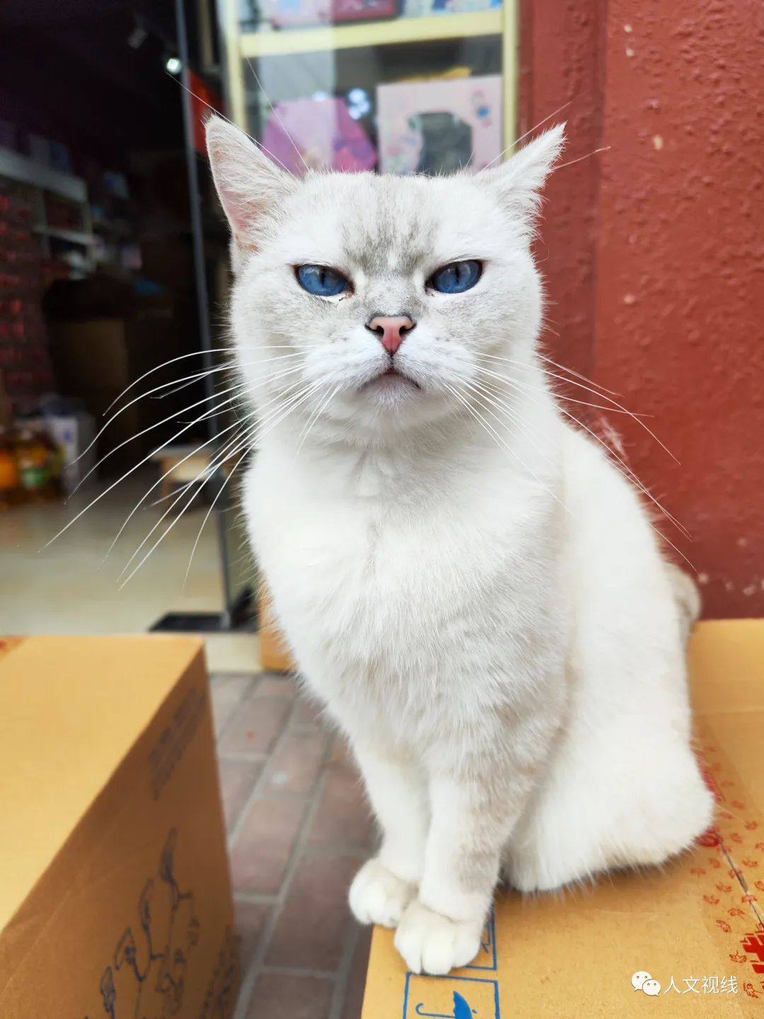 清明回乡,清明祭祖回乡记