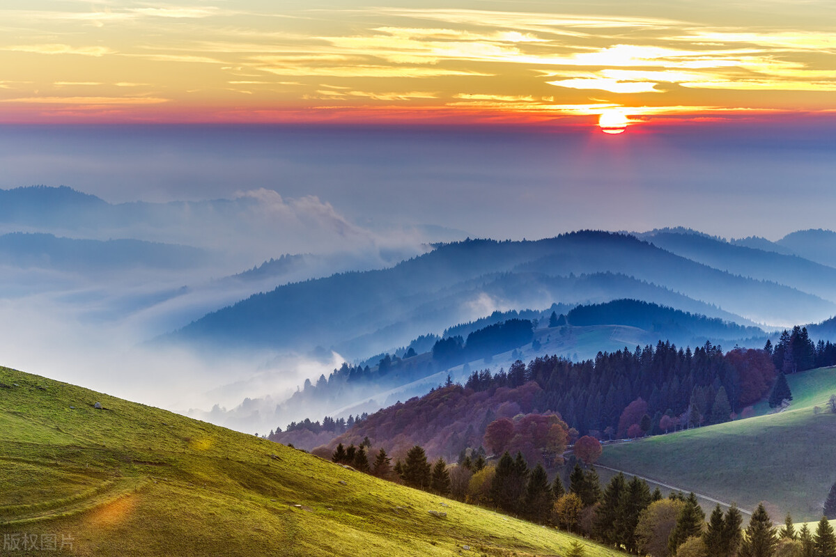 作文50个技巧,作文上50分的方法