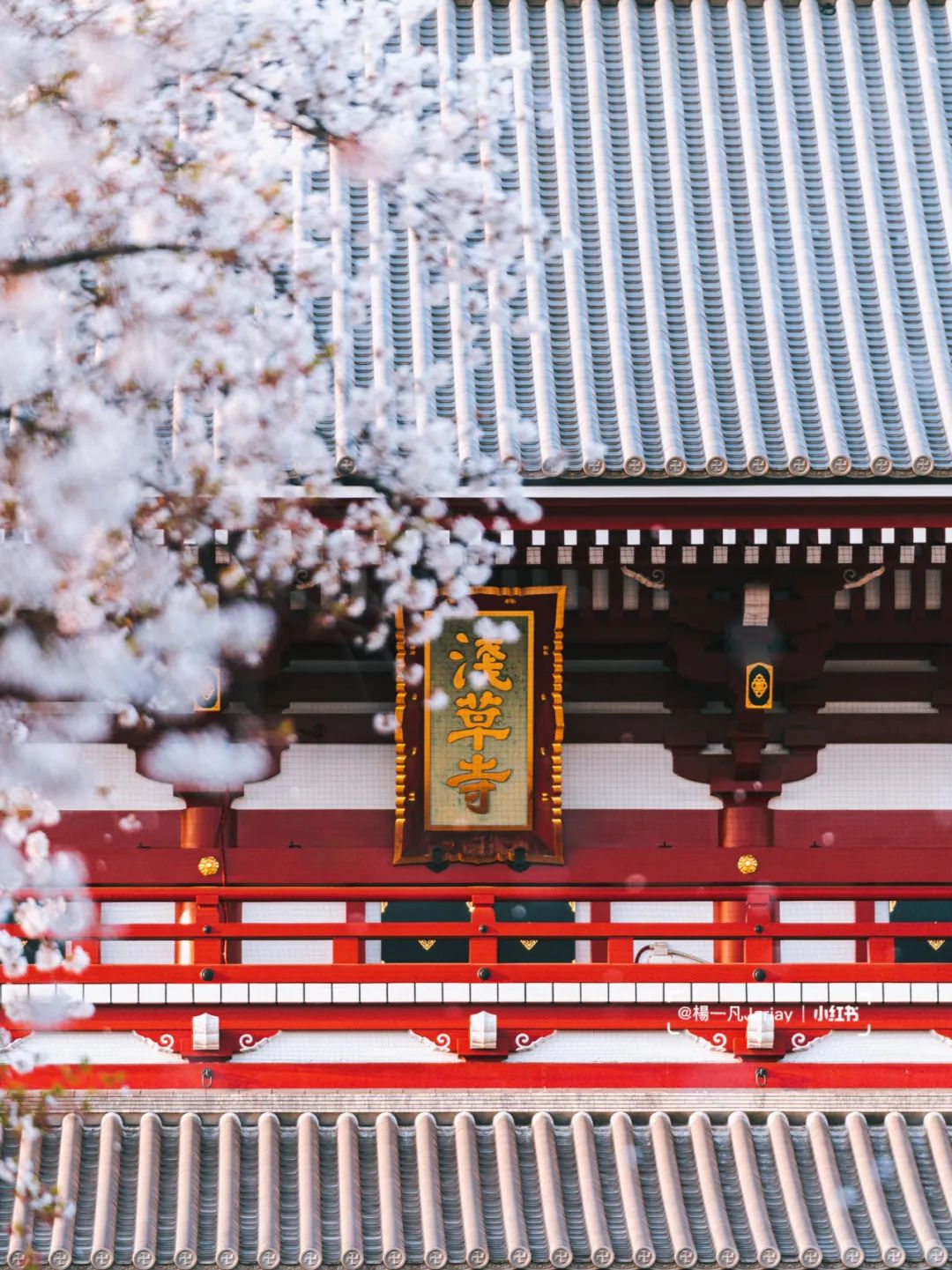 什么是天台,什么是天台记忆