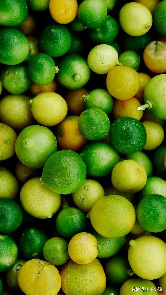 超清超美独一无二手机壁纸图片,养眼养心的壁纸