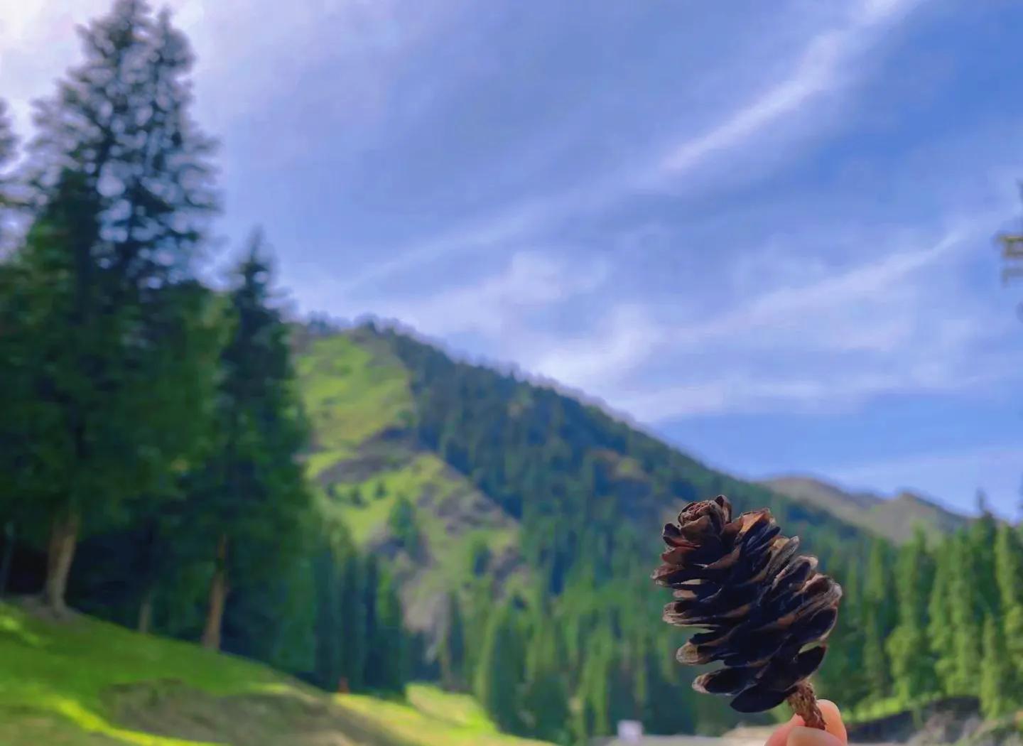 乌鲁木齐南山出游注意事项,去乌鲁木齐南山需要带什么东西