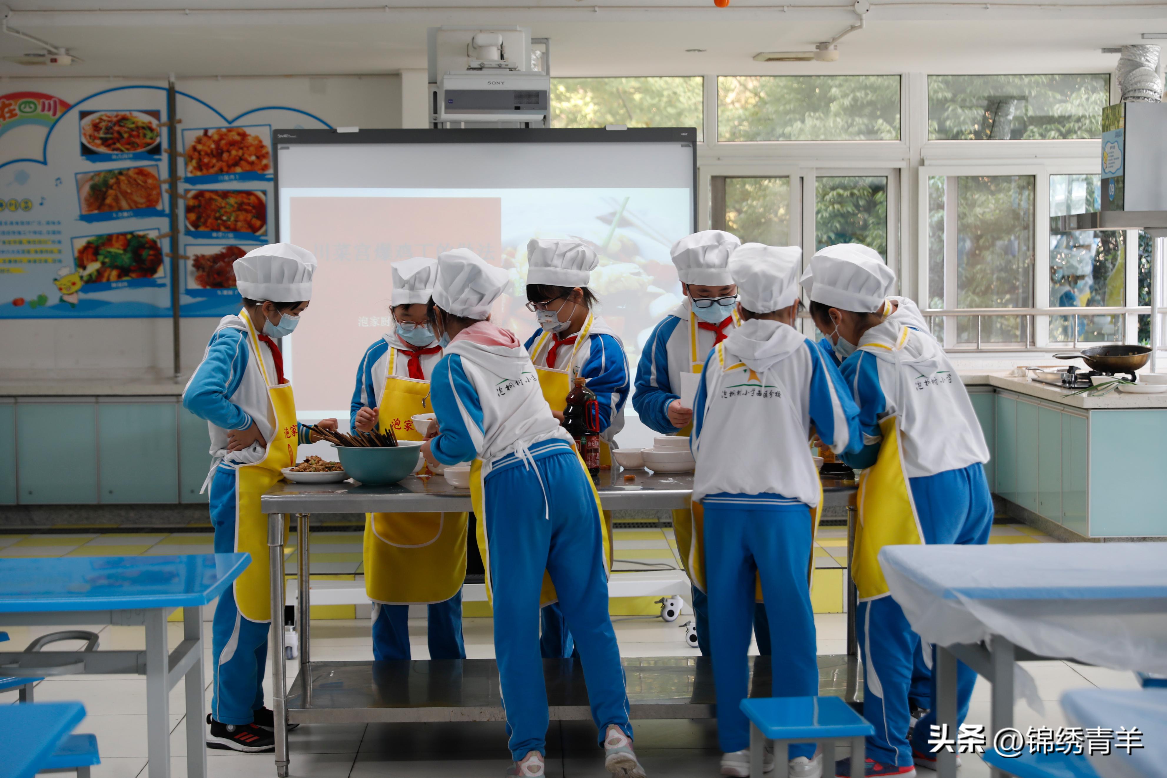 青羊区泡桐树小学西区怎么样,泡桐树小学青羊区