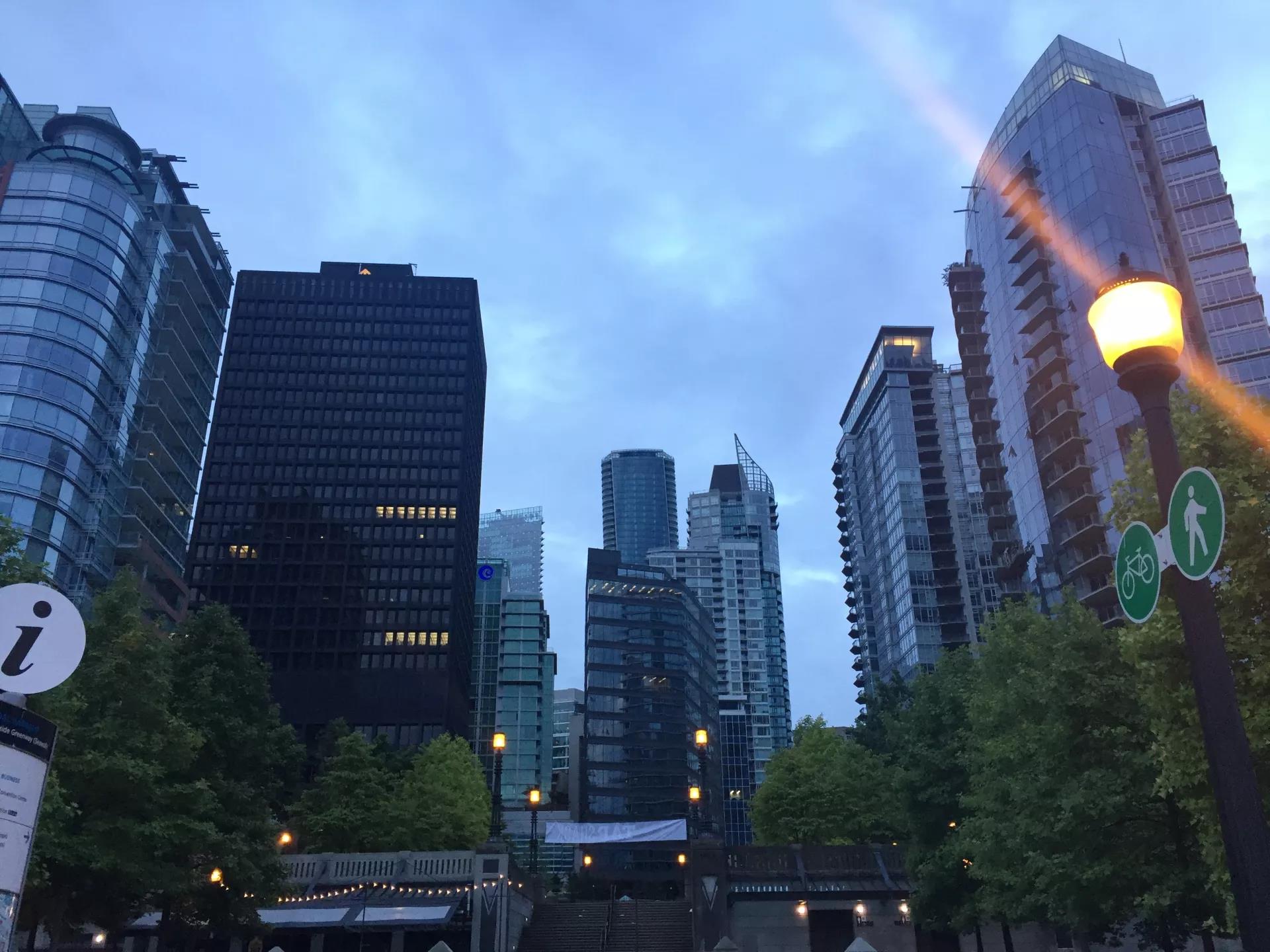 青岛如何带上猫猫去加拿大多伦多,钱猫猫加拿大之旅