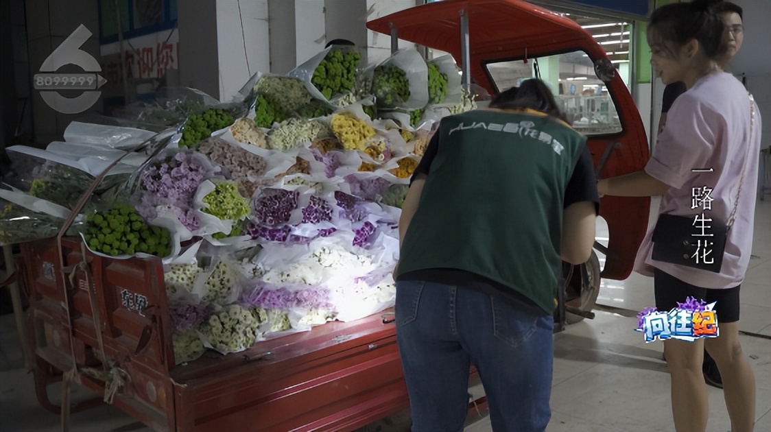 盘点人们都向往的工作,向往的工作和现实的工作