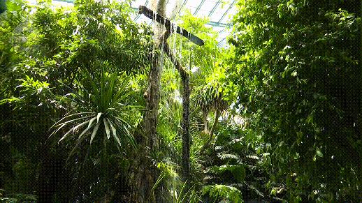 昆明植被覆盖情况,昆明市区植被覆盖率最高区域