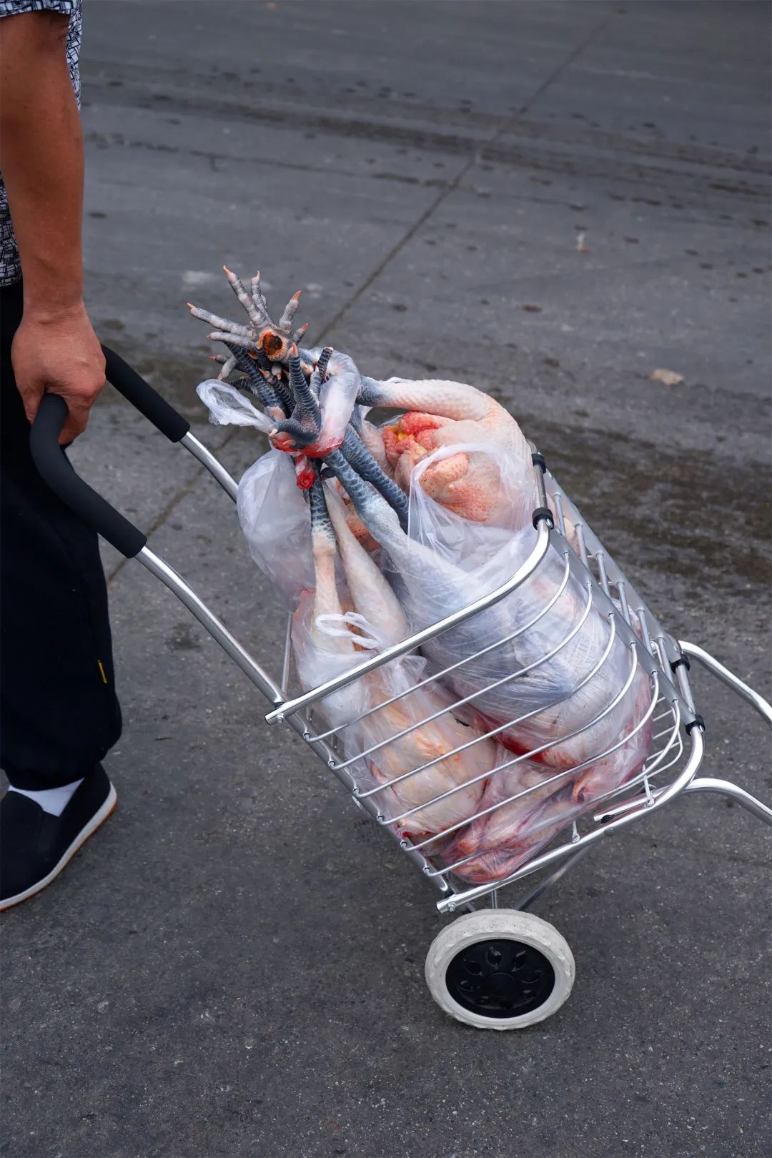 三联鸡鸭市场在哪里,三联市场家禽